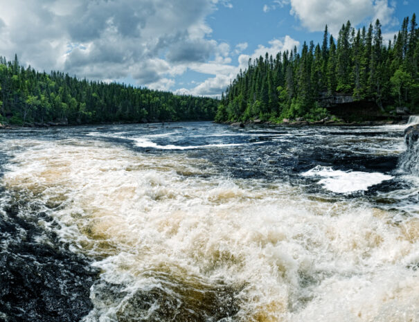 Atlantic Salmon jump a set of falls in Northern Newfoundland.