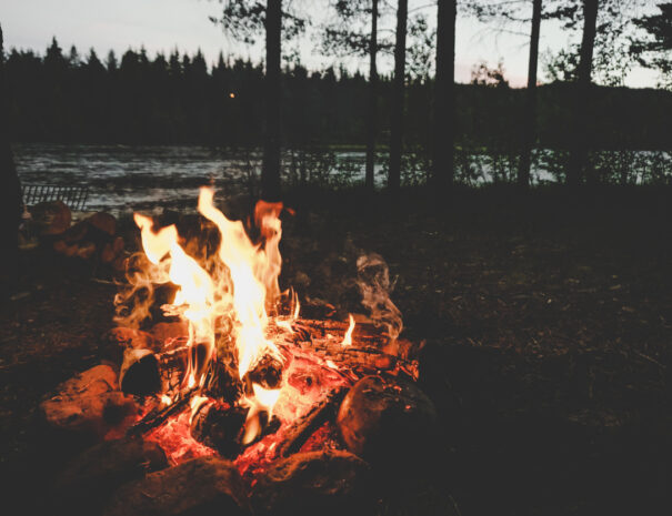 A Camp fire on a Swedish river with trees in the dark