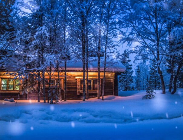 Romantic view of old traditional wooden forest cabin in the woods embedded in scenic northern winter wonderland scenery in beautiful mystic twilight during blue hour at dusk